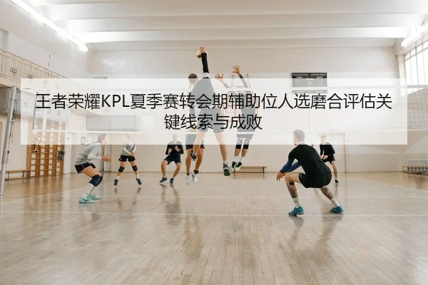 王者荣耀KPL夏季赛转会期辅助位人选磨合评估关键线索与成败