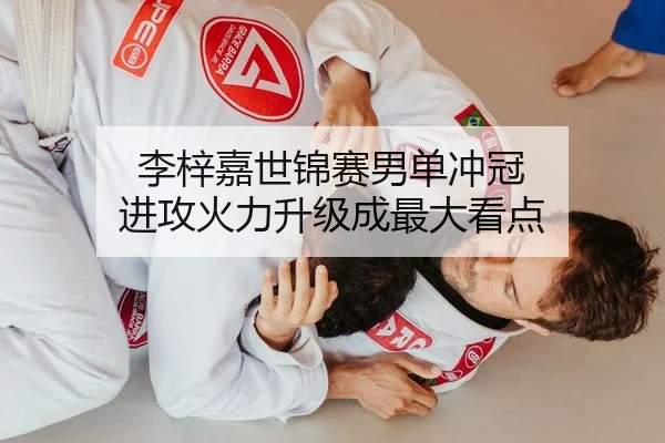 李梓嘉世锦赛男单冲冠 进攻火力升级成最大看点